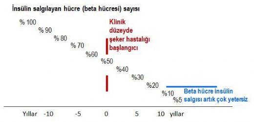 Kan ekeri Snrlar